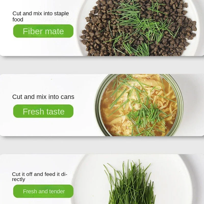 Hierarchical Design Cat Grass Cultivation Cup with Soilless Reusable Catnip Growing Container Seed Germination Tray