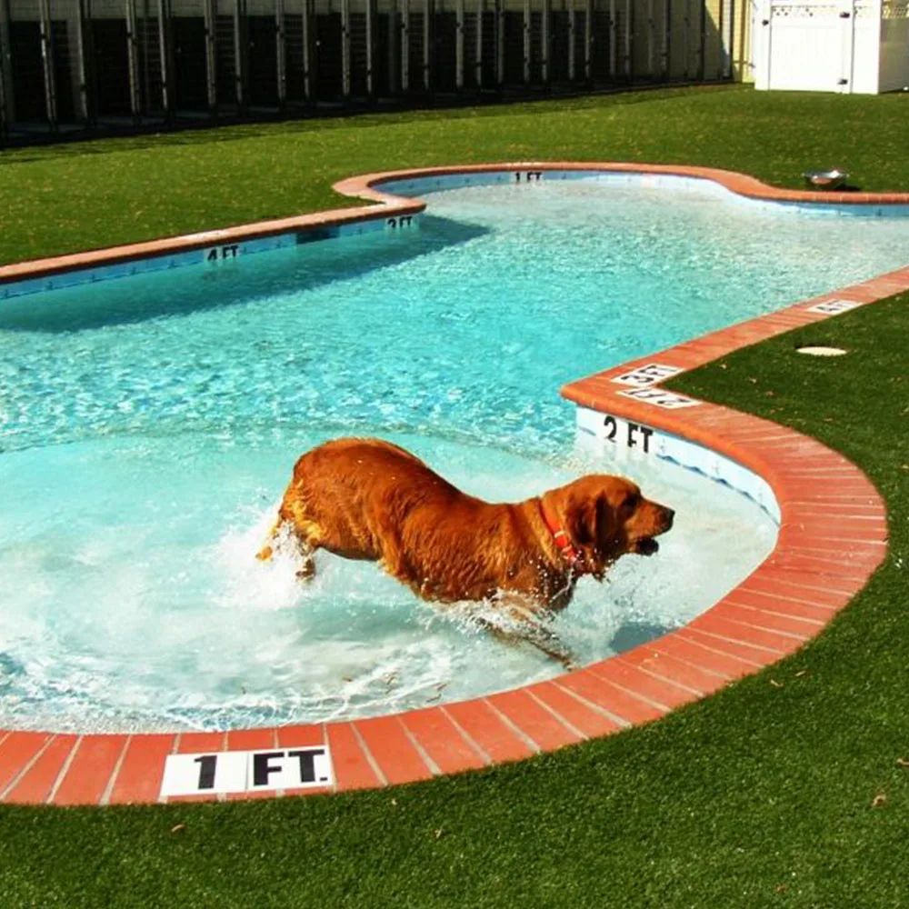 Wholesale Customized Size Outdoor Inground Children Small Dog Pool Pet Fiberglass Diving Piscina Above Ground Swimming Pool