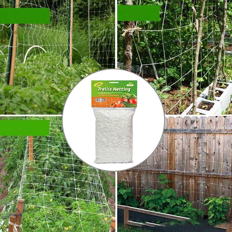 Nylon Mesh Gartenbau Pflanze Crawl Net Rebe wachsen Halter Crawl Gardening Network