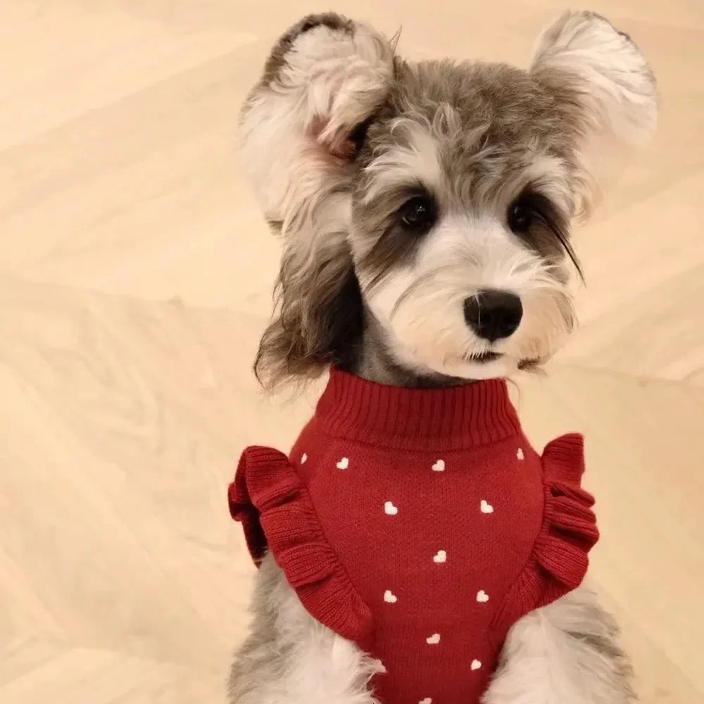 �y�Z�[�����z�N���X�}�X�x�A�x�X�g���p�~�����^���^�q���r�V�����e�f�B�L��v�����g�Z�[�^�[�N�y�b�g�g����