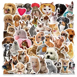 10/30/50PCS New Trendy Cartoon Funny Animal Graffiti Skateboard Cup DIY Waterproof PVC Children's Toy Reward Sticker Wholesale