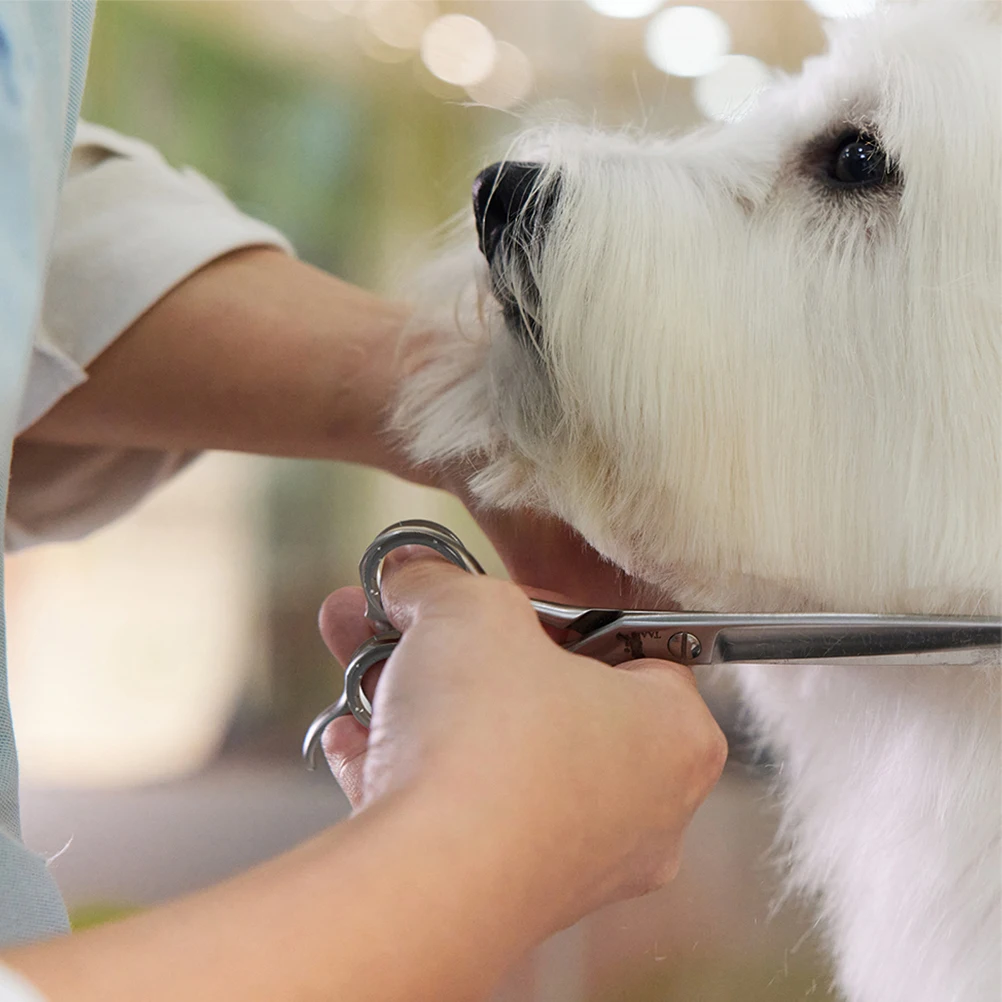 

20pcs Silicone Finger Protectors Hair Cutting Inserts For Grooming Scissors Pet Shear Rings Comfortable Thumb Inserts Dog Hair