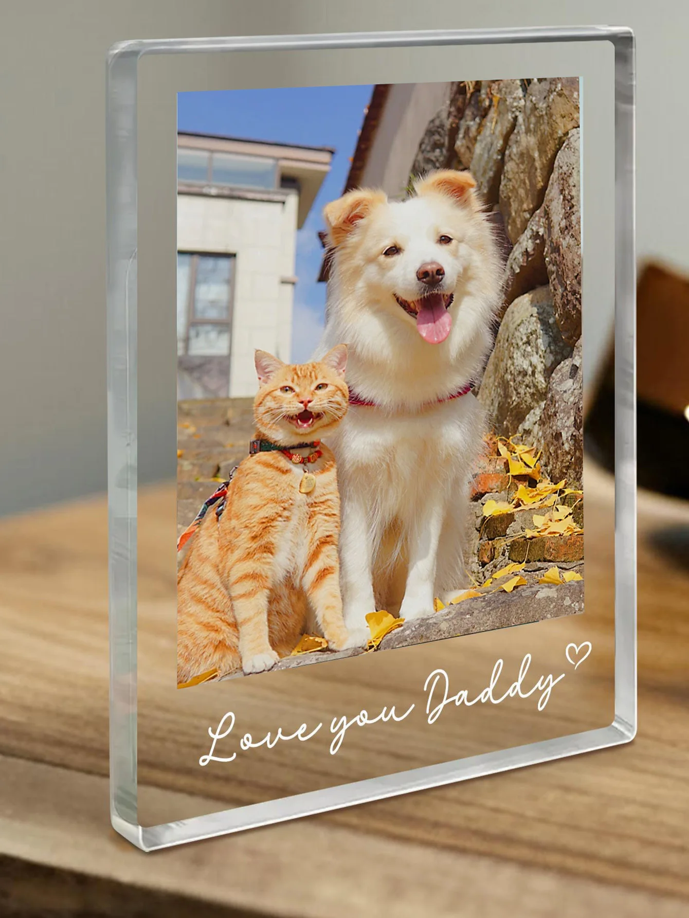 1PC Custom Pet Building Blocks - Personalized PMMA DIY Blocks with Name Custom, Creative Laser Engraved Unique Gift for Pet Love image 4