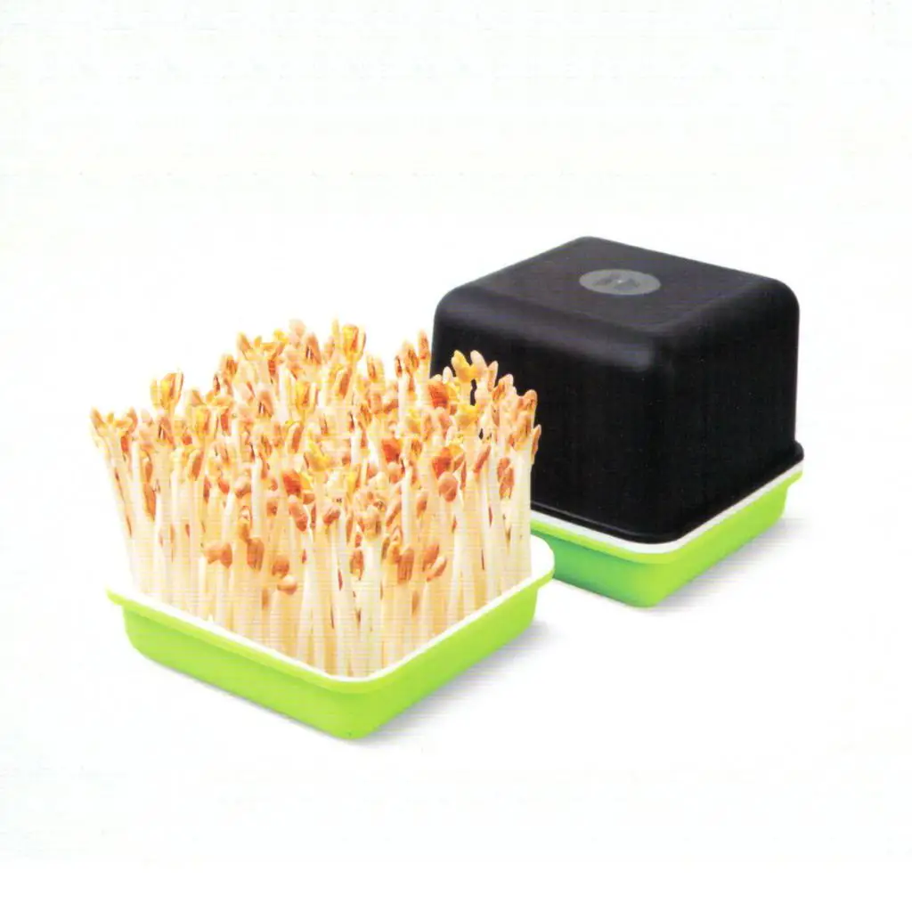 Topraksız Fasulye Fıstık Filiz Kutusu fide saksısı Bezelye Kedi Çim Buğday Fide Filizleyici Bahçe Çimlenme Topraksız Dikim Tepsisi