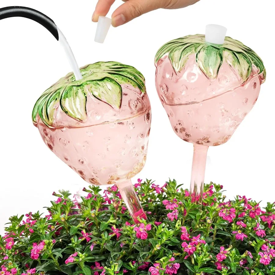 

Strawberry Plant Watering Globes Set of 2 Large Water Globes for Indoor Plants Glass Self Watering Planter Insert TopFill Water