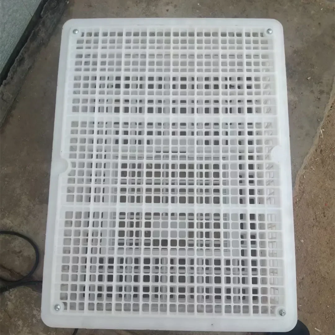 Custom New Live Plastic Chicken Transport Crates Turnover Transport Boxes For Poultry 1-Year Warranty Chickens Cage