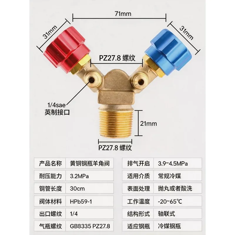 Special Cylinder Valve for Refrigerant Recovery and Filling/high and Low Pressure Sheep Angle Valve