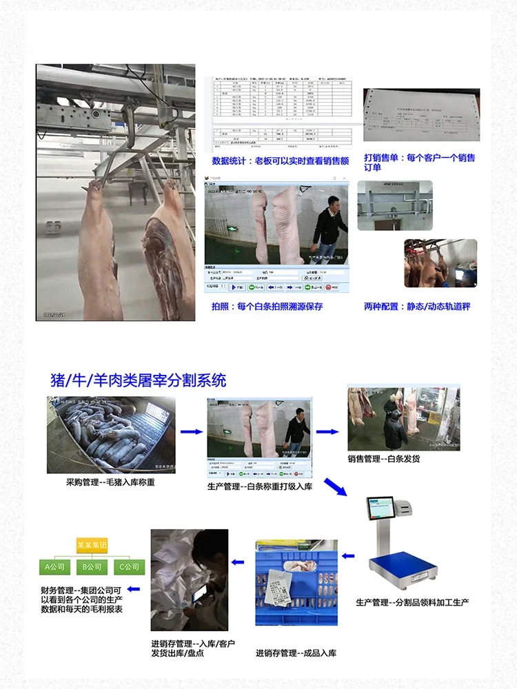 Slaughter white stripe segmentation pig cattle and sheep carcass weighing scale scale single track double gauge static dynamic