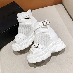 Korean version of the super High classic fish mouth booties Thick with the stage high heel boots fashion Women's Sandals 10cm