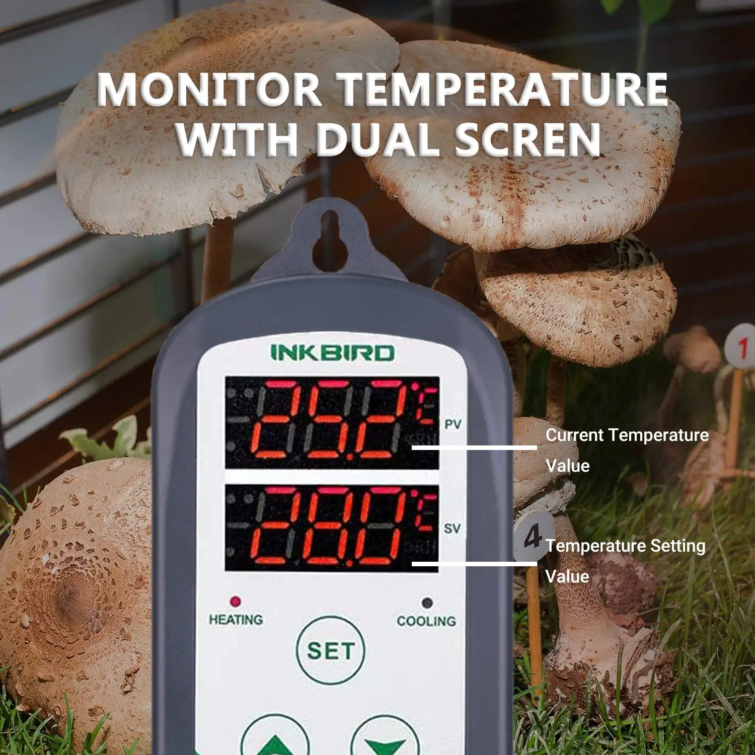 INKBIRD ITC-308 Themostat Controller Dual Outlet riscaldamento raffreddamento regolatore di temperatura digitale con sensore di temperatura NTC