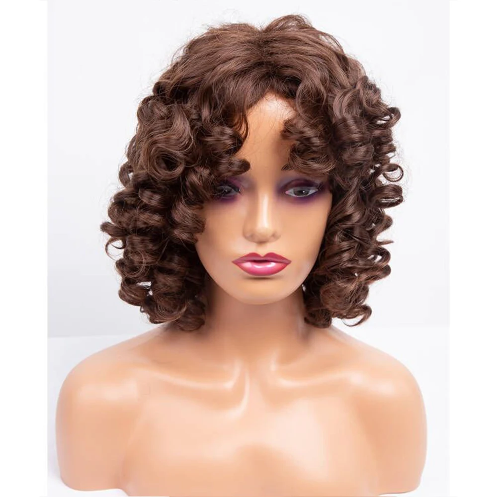 Amir Synthetic Short Wigs Black Afro Curly Wig For Women Natural Black Hair wig Heat Resistant Bangs wig