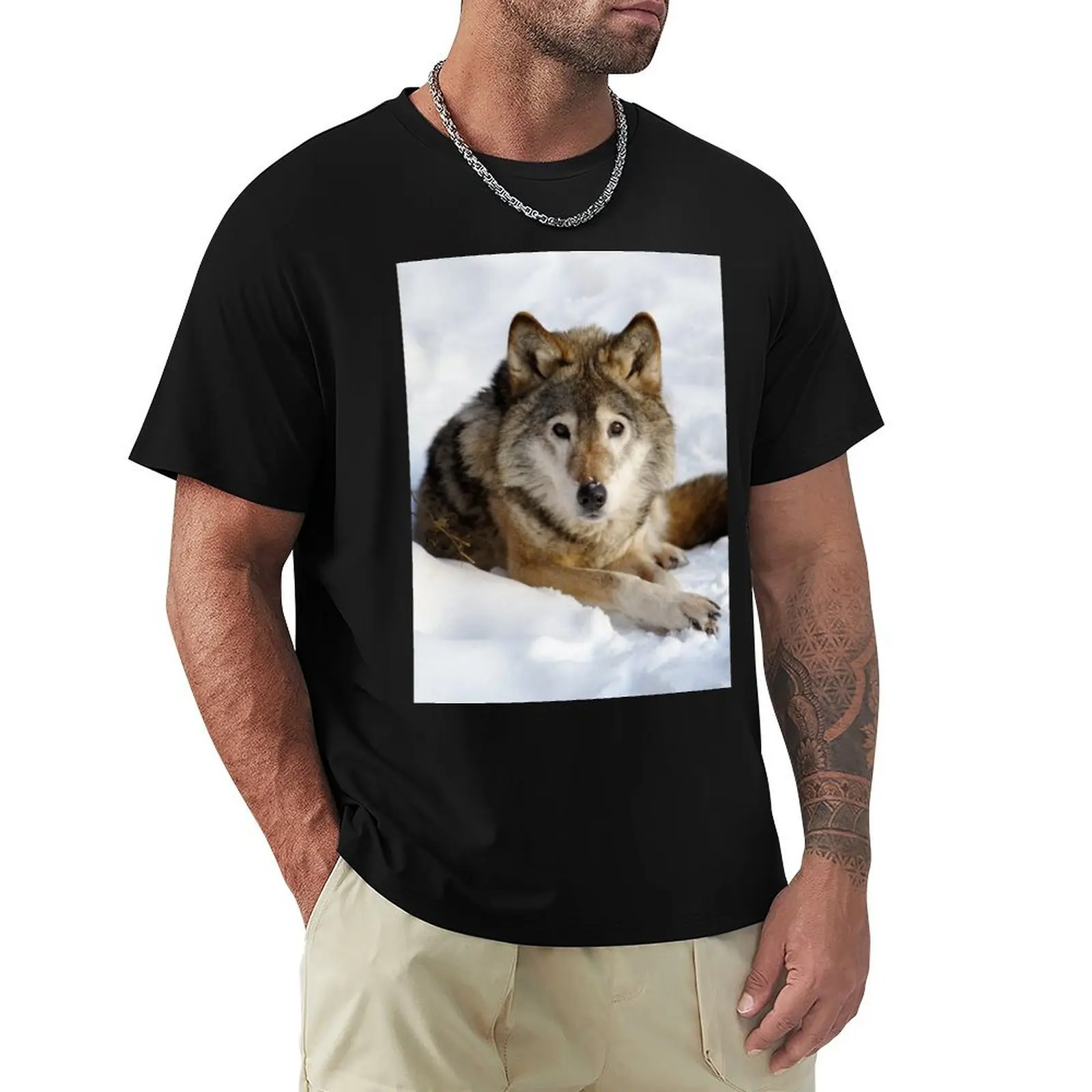 Wolf (canis lupus) portrait T-Shirt Festival Party Tee Top