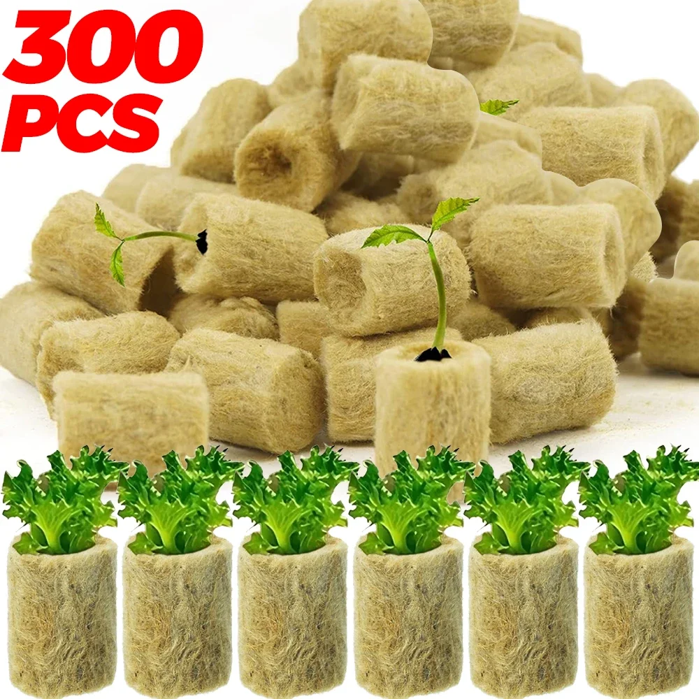 Stonewool Hydroponic Grow Media Cubes Plant Round Soilless Substrate Seeded Rock Wool Plug Garden Seedling Block Pots Wholesale