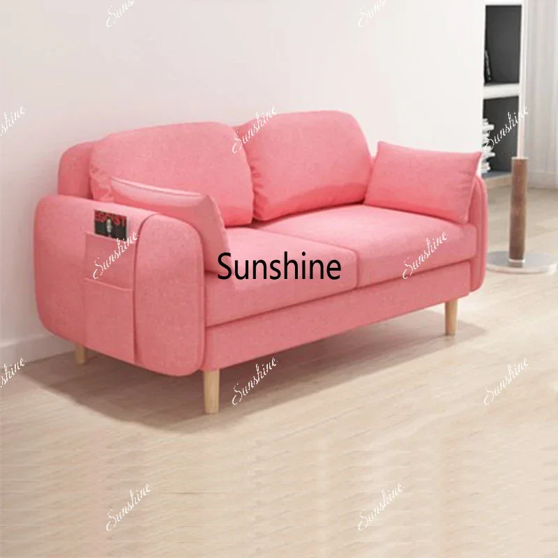 Comfortable Elegant Sofa Beds Modern Pink Multifunctional Classic Sofa Beds Double Storage Sofa Camas Living Room Furniture