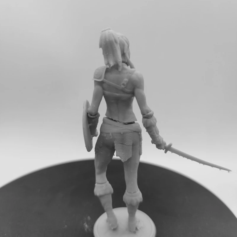 Female Warrior Diy Resin Figure 1/24 Scale 75mm Vertical Height Assemble Model Kit Unassembled Dioramas Unpainted Statuettes Toy