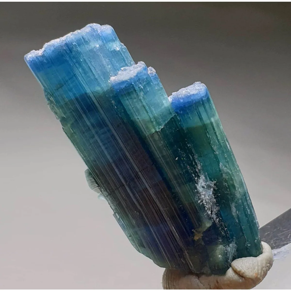 Brazilian Elbaite Crystal Samples, 10g 5-15mm Color Mix, Display Box for Mineral Collection & Shelf Display