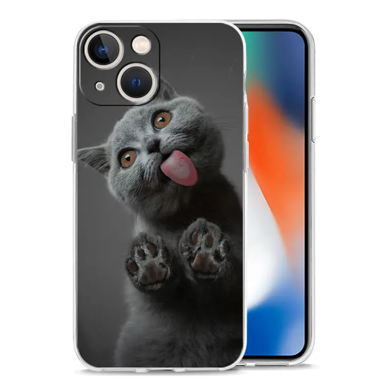 Cartoon Cute Cats Background Luxury Clear Phone Case For iPhone 15 16 14 13 12 11 Pro Max XS X XR SE 7 8 Plus Shockproof Cover
