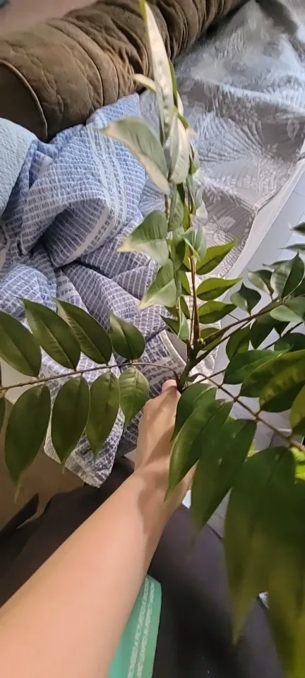 리뷰 사진