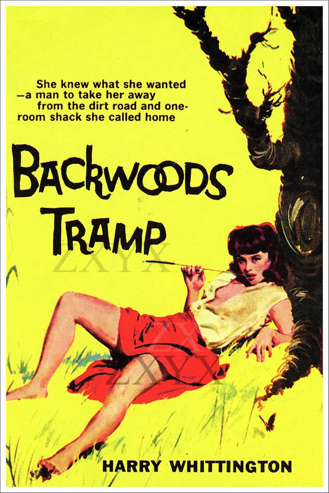 Backwoods Tramp Vintage Pulp Novel Cover Retro Art Poster