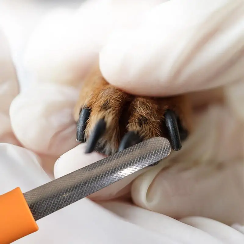Dog Nail File Dog Nail Filer Cat Claw Grinders Quiet Grooming Tool for Removing Burs Smoothing and Shaping All Toenail Types