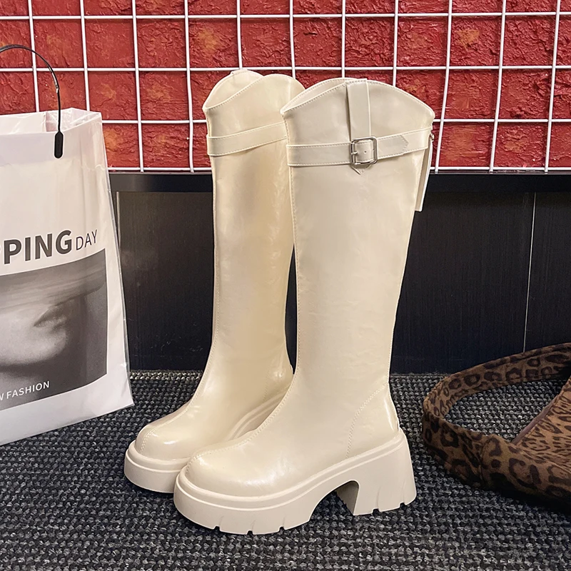 منصة النساء أحذية عالية 2025 جديد أحذية عالية الكعب مكتنزة دراجة نارية أحذية الشتاء فستان أنيق مضخات البريدي الثلوج بوتاس دي Mujer #5