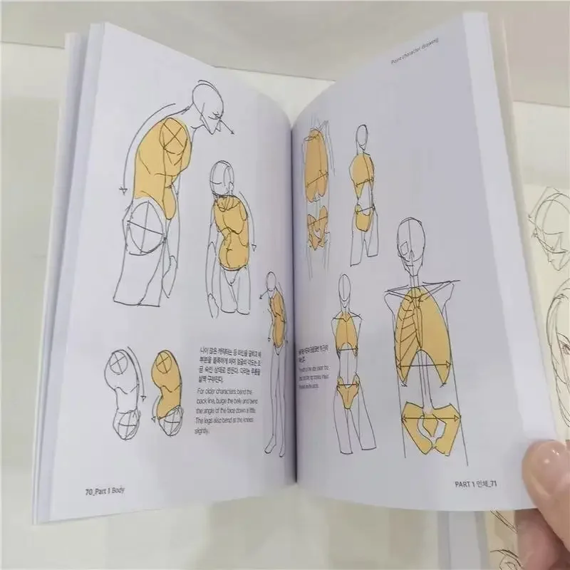 كتاب رسم سري لشخصية الرسام الكوري، كتاب فني، هيكل جسم الإنسان، كتب تقنية مرسومة يدويًا