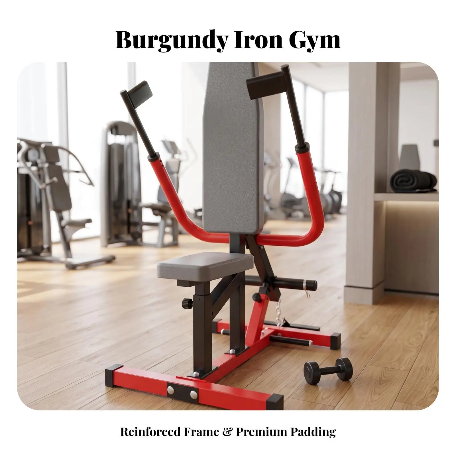 Triceps Pushdown Machine | Angled Overhead Handles, Compact Open-Frame Design, Biceps and Triceps Machine, for Fitness Studio