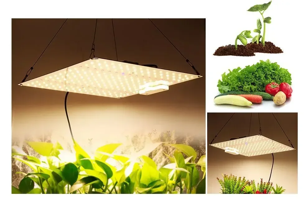 1000W Plant Grow Light Quantum Board Installation Is Convenient for Hemp Planting Succulent Seedling Grow Lighting