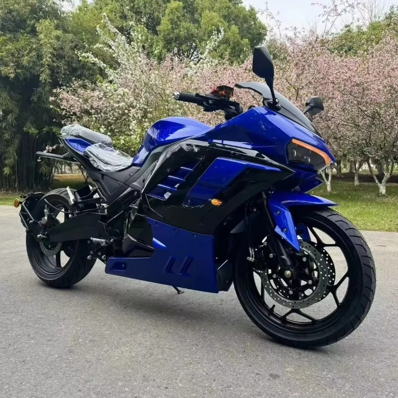 Customized Cheap Price High Power 160km/h Racing Electric Motorcycle Panigle for Adults