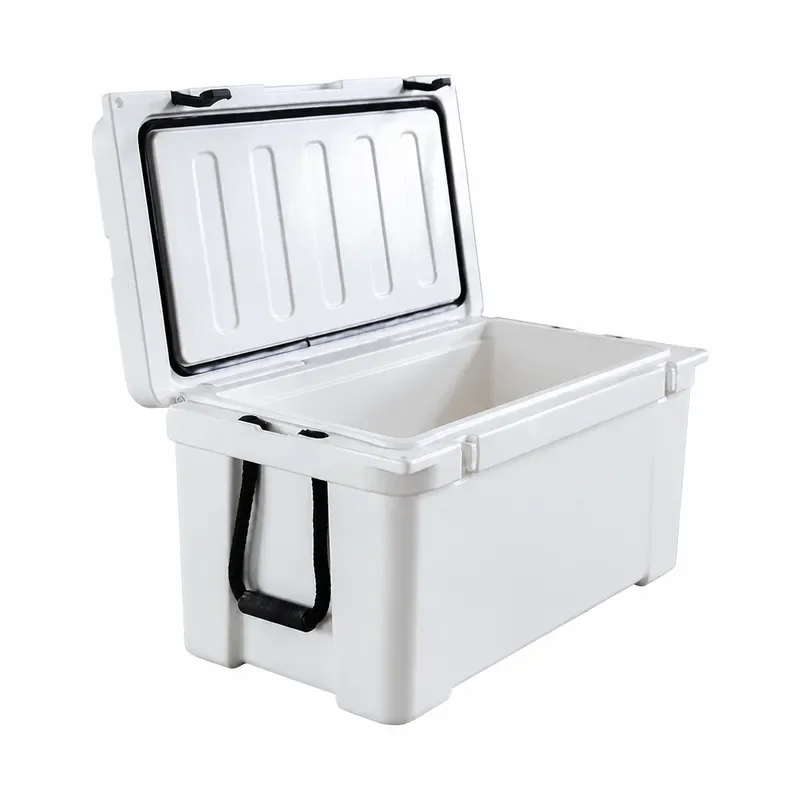 60L Portable Car Refrigerator Outdoor Camping Medical Household Food Cooler Box Plastic Cold Preservation Storage for Travel