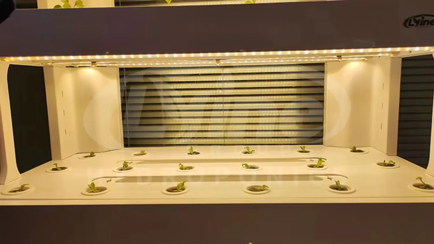 อุปกรณ์ทำฟาร์มไฮโดรโปนิกส์และอควาโปนิกส์อัตโนมัติสำหรับสวนในบ้าน ระบบไฮโดรโปนิกส์แนวตั้งครบวงจรสำหรับปลูกผัก