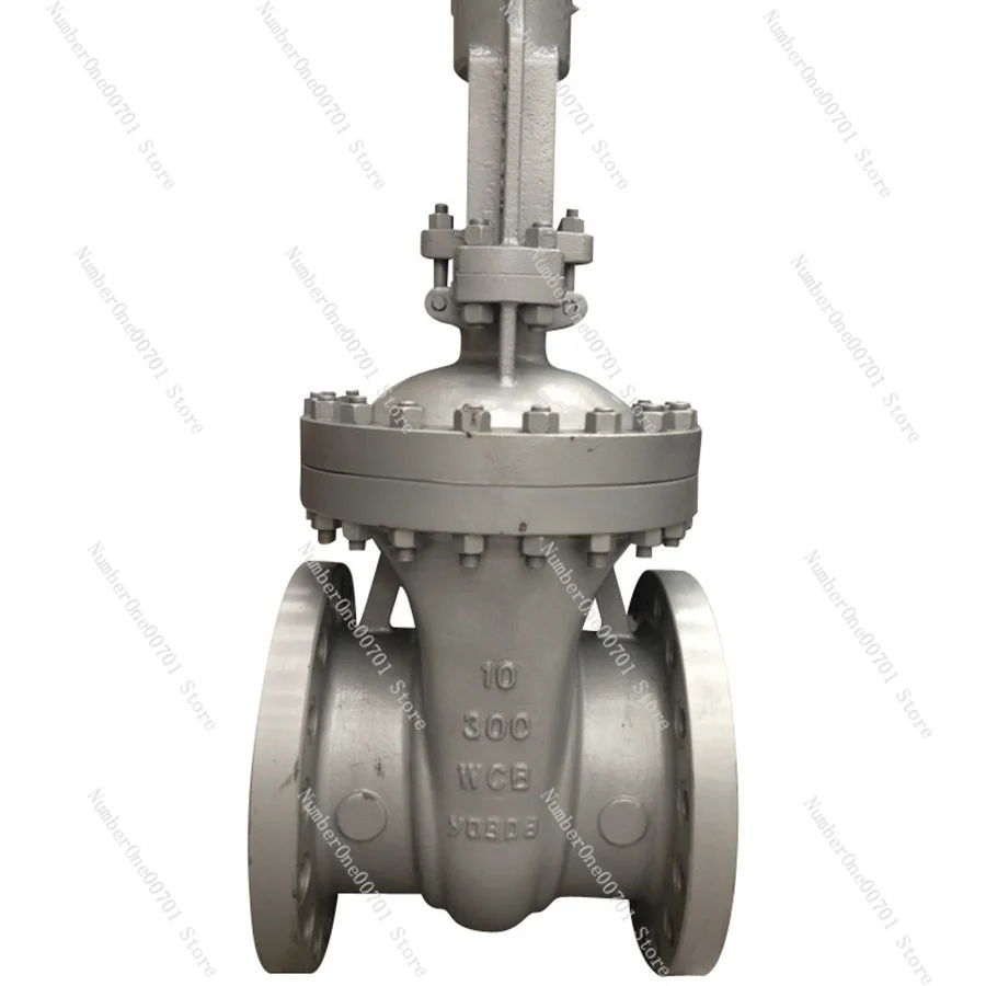 

ANSI Class 300 Gate Valve WCB