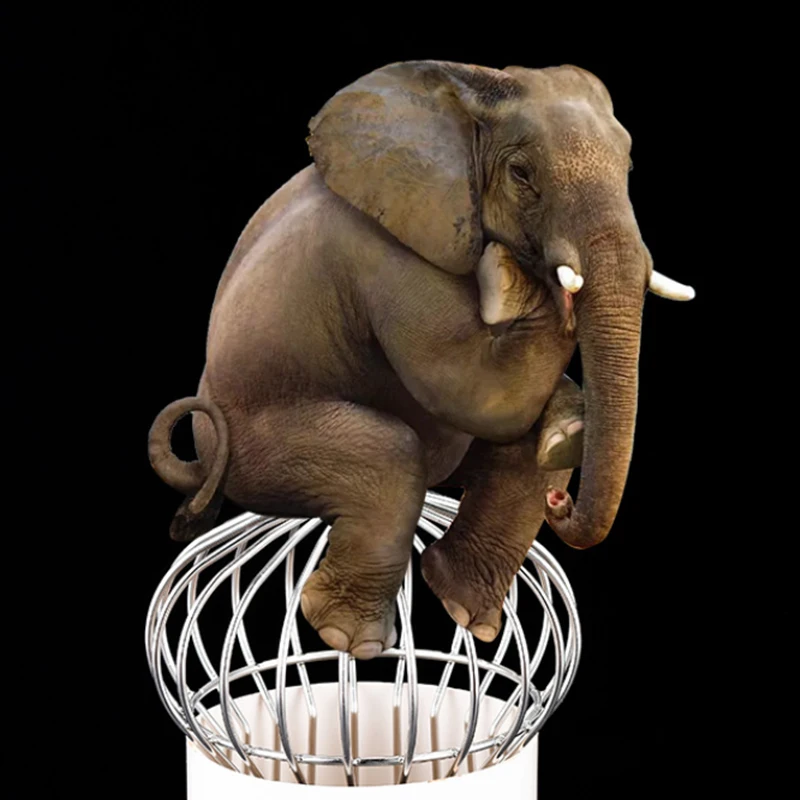 

New Strainer Garden Landscaping Floor Drain Gutter Guard 304 Stainless Steel Mesh Cover Stops Leaves Seeds Debris Gutter