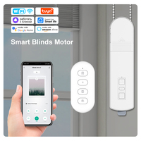Tuya Smart WiFi Roller Curtain Motor DIY Motorized Chain Roller Blinds Shade Shutter Drive With Remote Alexa Google Home Alice