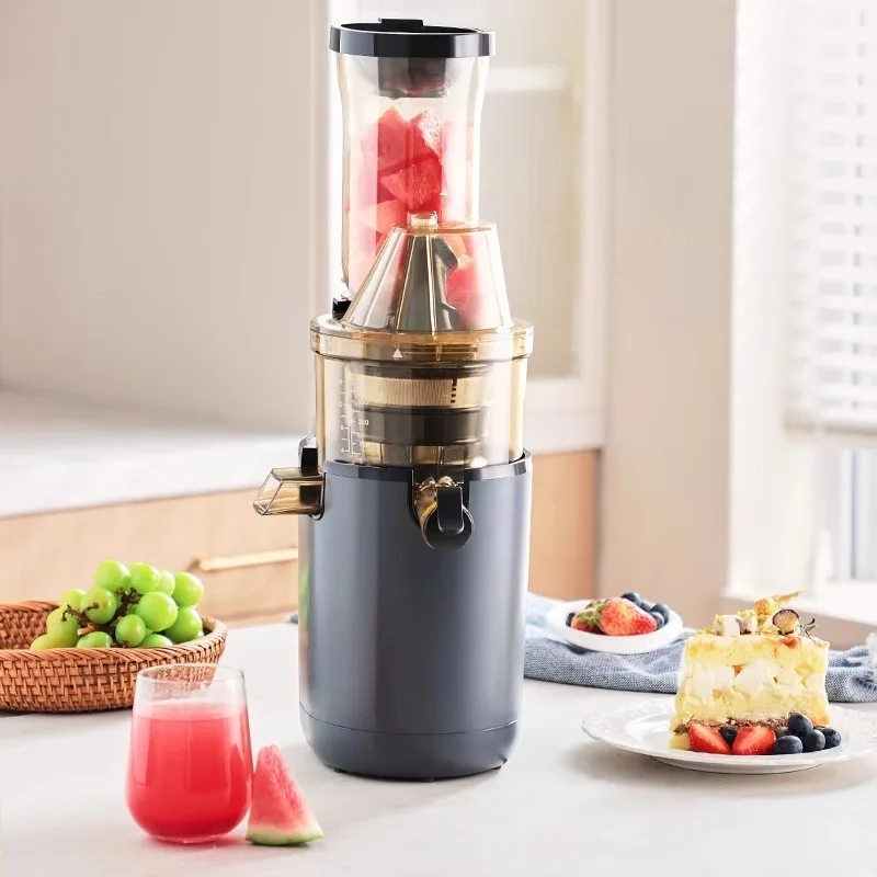 

Professional Electric Automatic Vegetable Juicer Blender Slow Fresh Commercial Fruit Juicer Machine Juicer Extractor