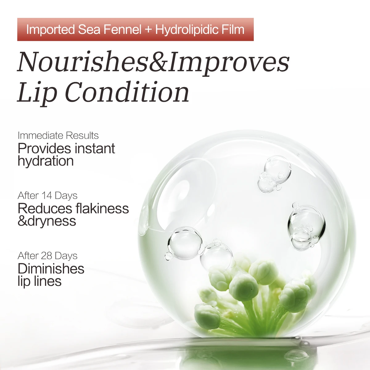 CARSLAN 2025 Winter Limited Series Lip Glow Siero Essenza vegetale Lucidalabbra acquoso lucido idratante profondo