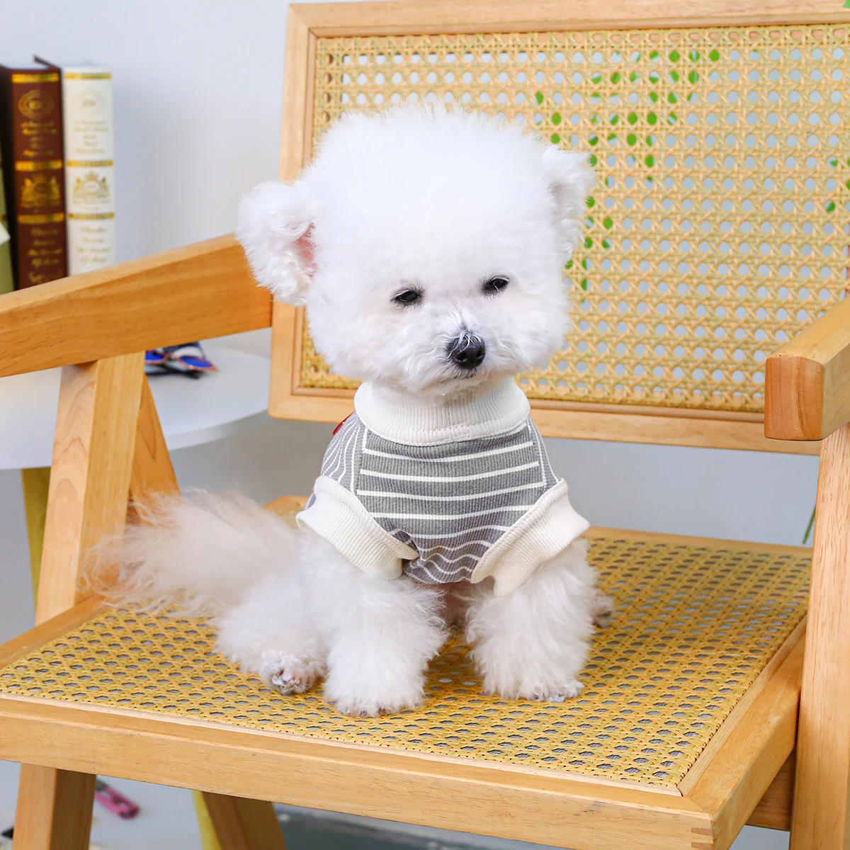 Thumbnail 4 - #2 Compare Dog Jumpers Before You Buy