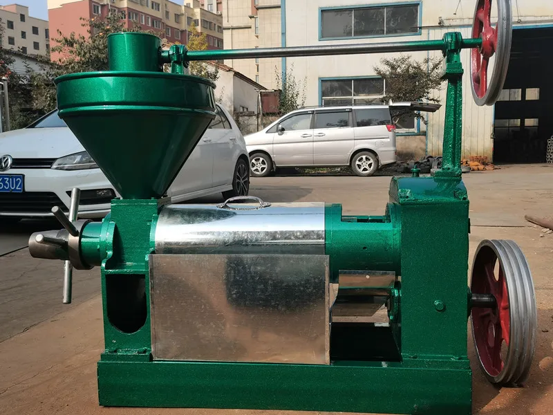 6yl-100 ضغط زيت الخردل مطحنة زيت البذور السوداء طارد الضغط صانع بذور اللفت وبذور اللفت آلة استخلاص زيت الخردل