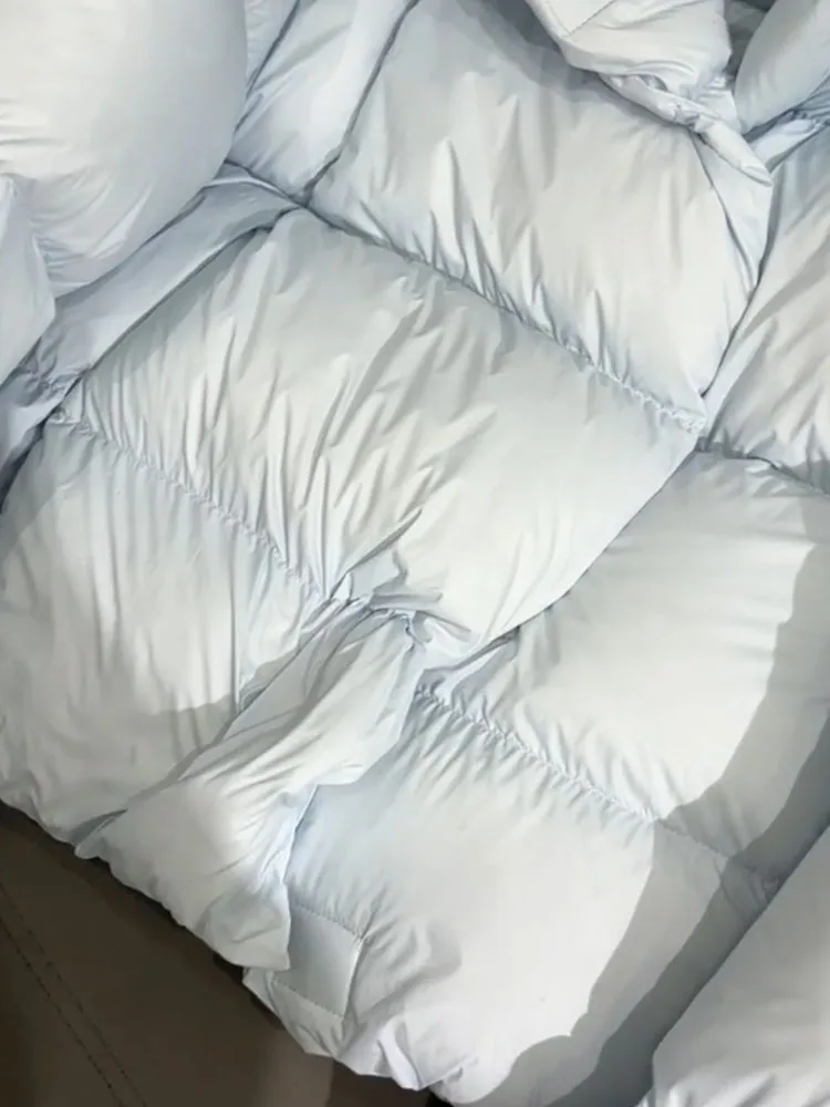 Einzigartiger ort blauer Daunenmantel für Damen mit Kapuze, Jaet Winter 2022, neuer Sle Premium-Brotmantel, Thi-Oberbekleidung, koreanischer Sle Commute