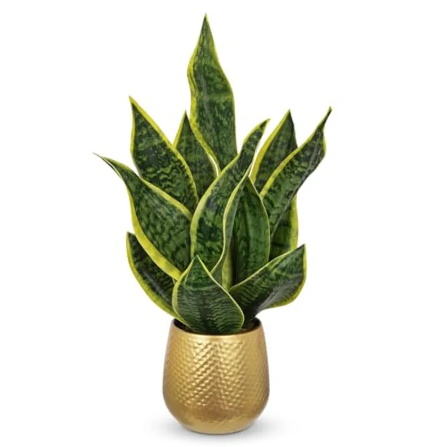 Artificial Snake Plant in Gold Pot 18 Faux Sansevieria Potted Plant for Home Office Decor Fake Snake Plants Laurentii Indoor Mo