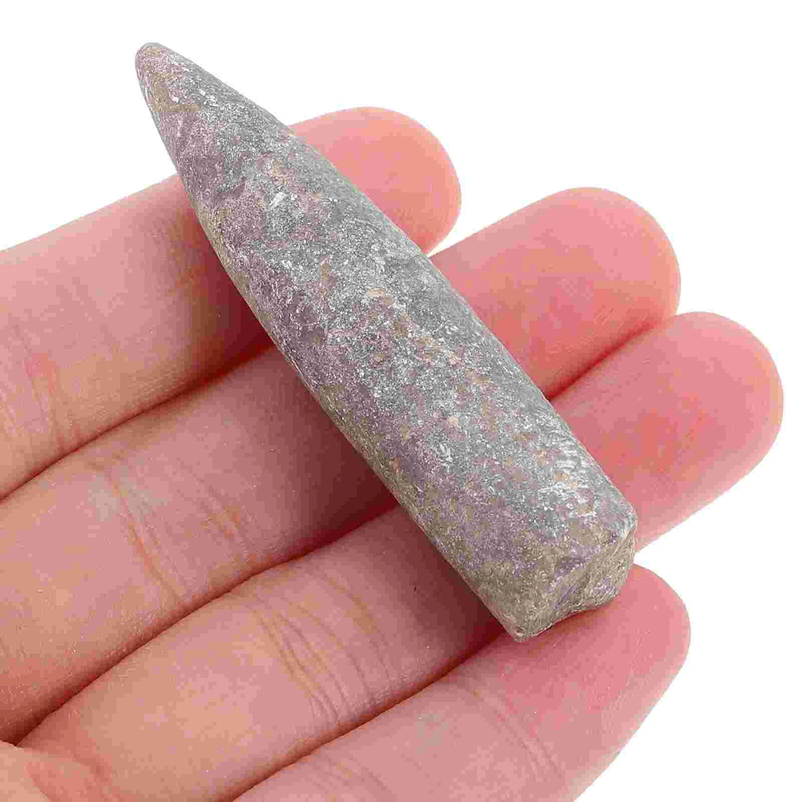 2 Pcs Specimen Natural Belemnite Teaching Supply Home Decor Epifaunal Educational Adornment Models Toys