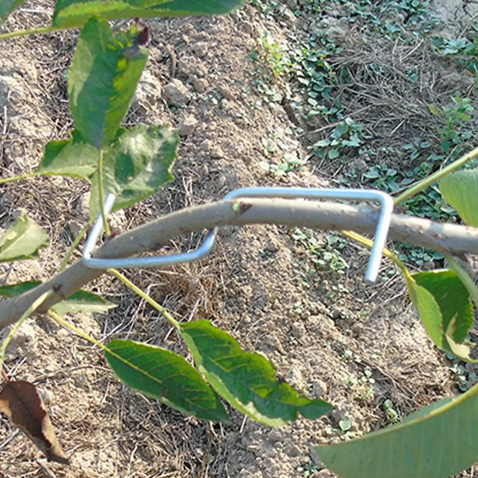 Strong Branch Spreader Steel Support Frame Reusable Tree Twig Fixing Clamp for Landscaping Garden