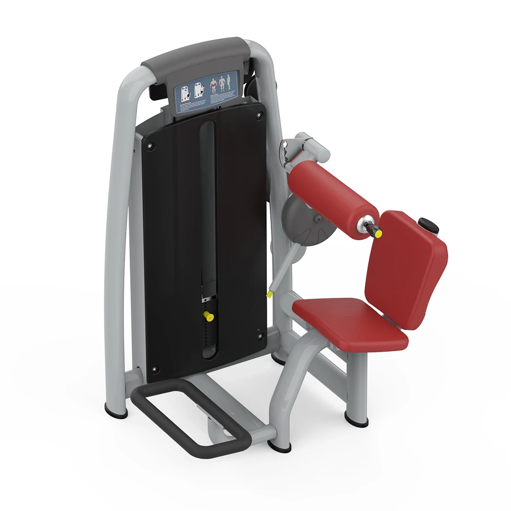 آلة اختيار القوة التجارية لتدريب الظهر السفلي المحملة بالدبوس 2025 #4