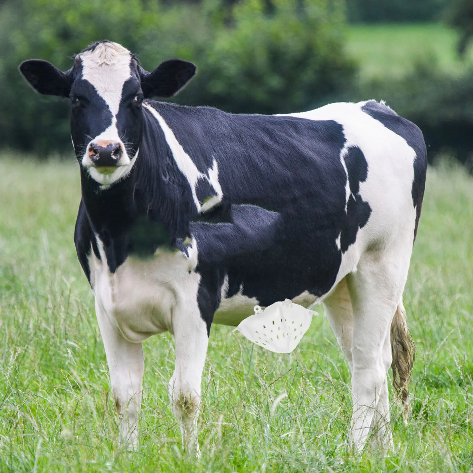 

1pcs Calf Weaner Tool Cow Weaning Device For Pasture Humane Sucking Prevention Farm Livestock Management Cattle Accessories Ear