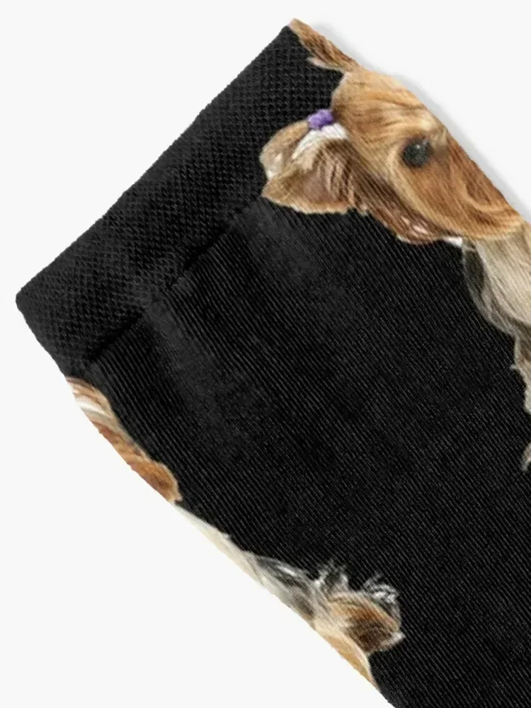 Yorkshire Terrier dog pets dogs cute sweet Socks Hiking boots kawaii Socks Women's Men's