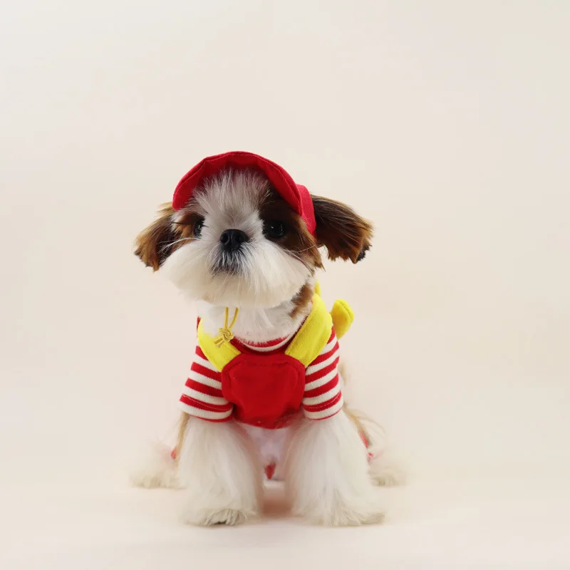 Red and yellow colour scheme dog clothes pet autumn and winter style pet four-legged trousers clothes casual back trousers