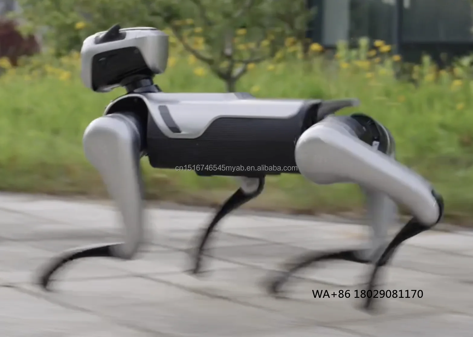 Advanced Delivery Robot Dog Industrial Intelligent Ai Flexible Moving