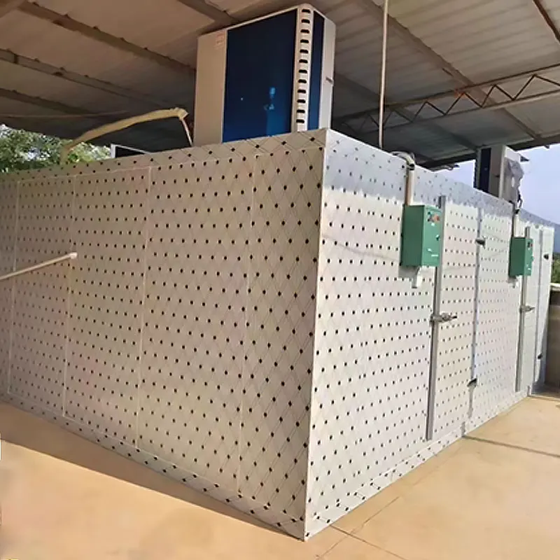 Camminata personalizzata ad alta efficienza nella stanza di congelamento nella stanza fredda fredda di refrigerazione commerciale dell'unità di raffreddamento