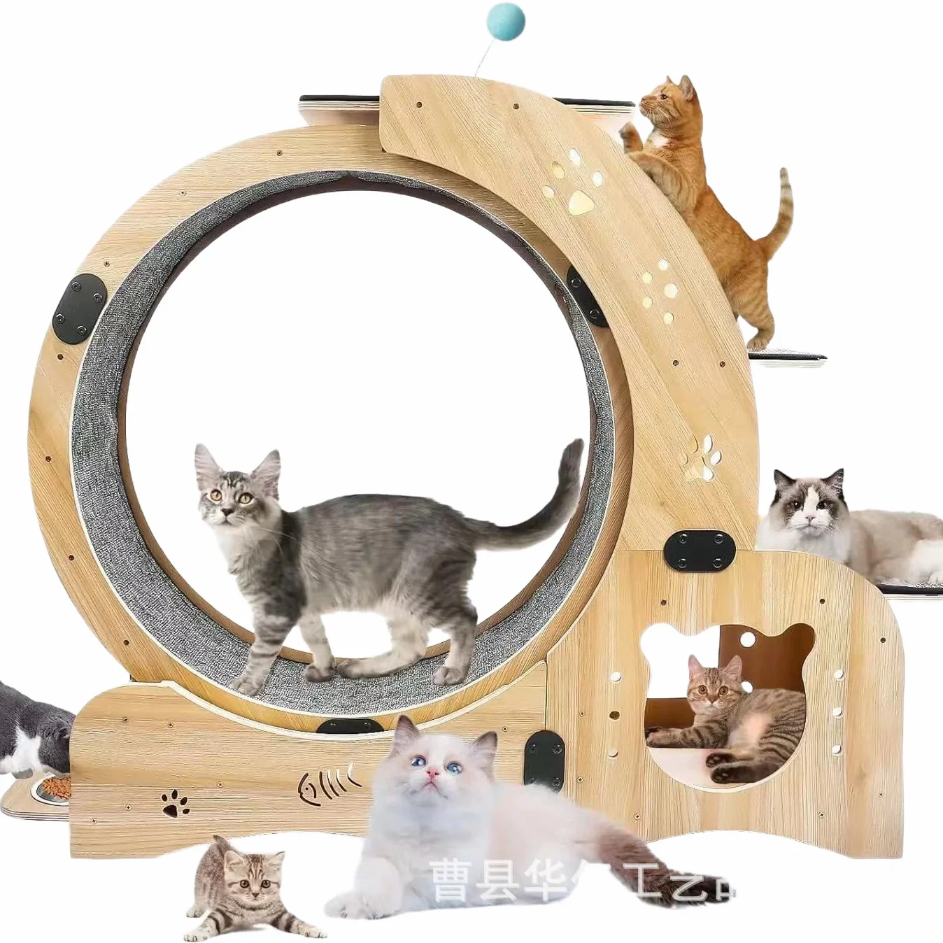 

Cat Treadmill Fitness Silent Roller High Fiber Board Sports Running Wheel Pet Cat Climbing Wheel Toy for Cats