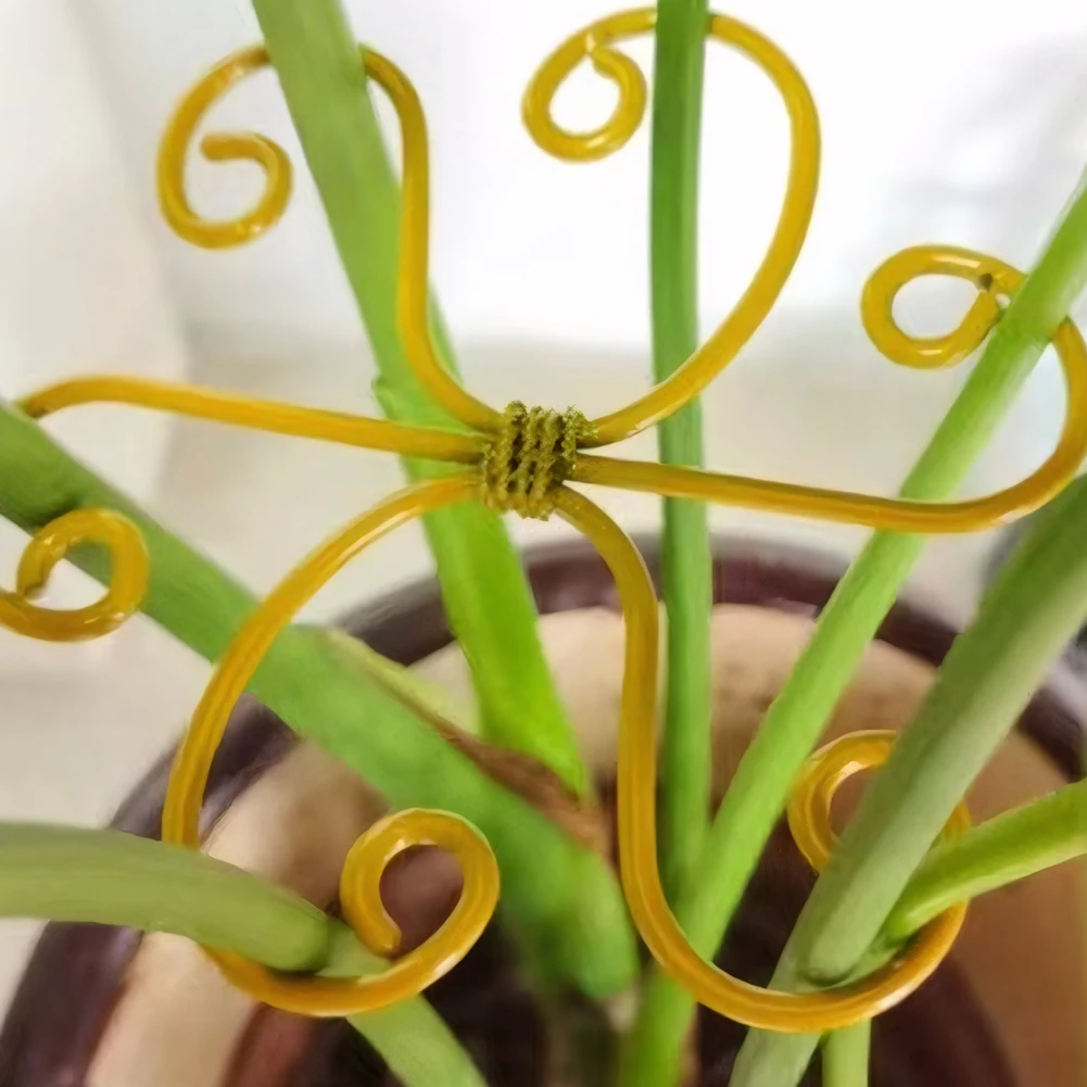 5Pcs Monstera Plant Support Plant Stem Holder Plant Stabilizer for Indoor Plants